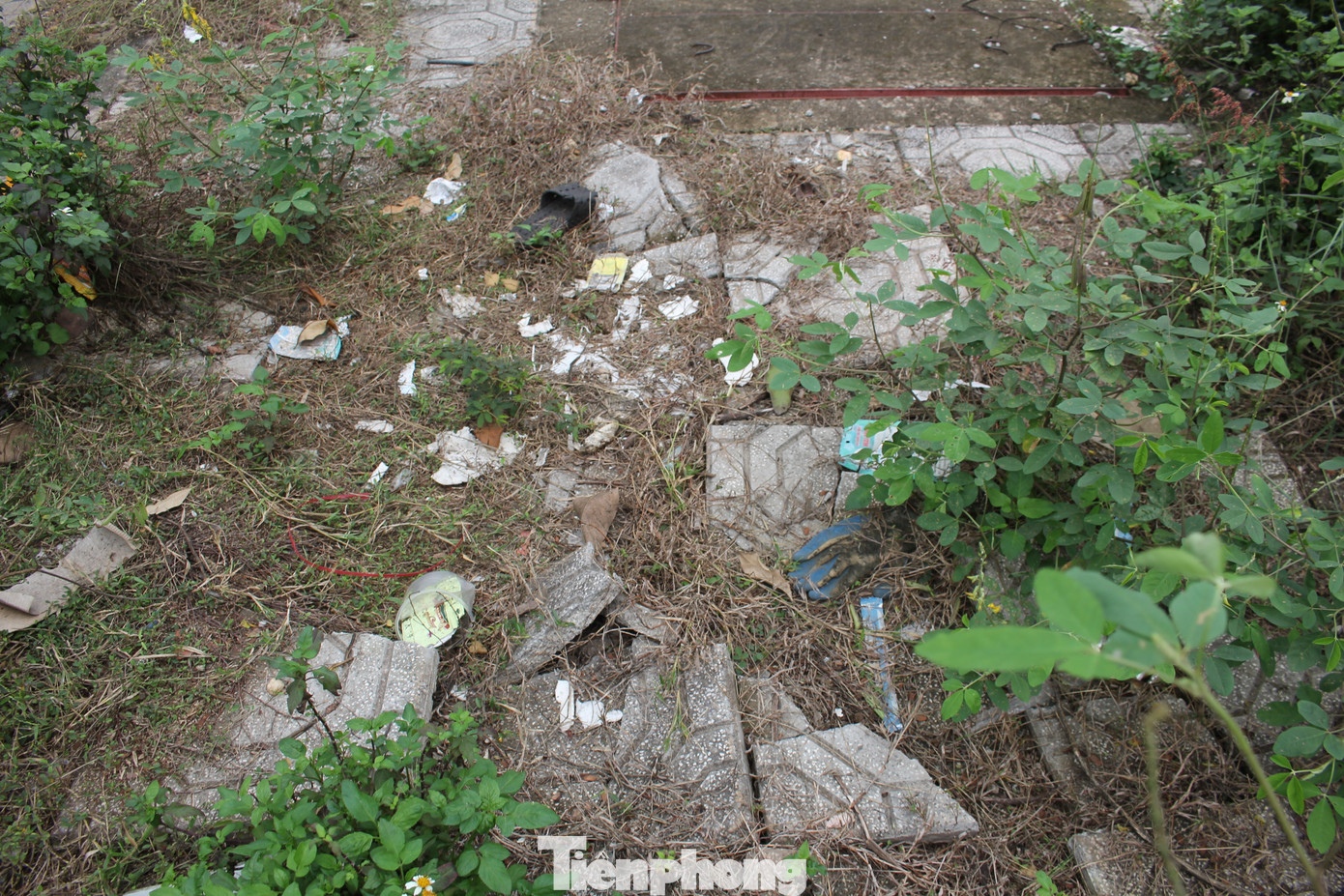 Vỉa hè vỡ nát, cỏ dại mọc um tùm trong Khu đô thị mới Đồng Cửa, huyện Lục Nam, tỉnh Bắc Giang (Ảnh: Lộc Liên) Vỉa hè vỡ nát, cỏ dại mọc um tùm trong Khu đô thị mới Đồng Cửa, huyện Lục Nam, tỉnh Bắc Giang (Ảnh: Lộc Liên)