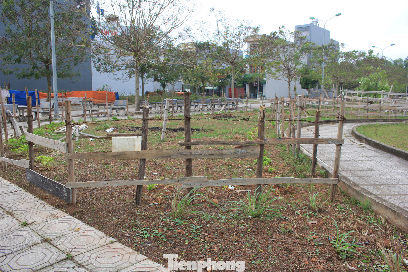 Công viên nội khu, nơi được coi là điểm nhấn của Khu đô thị mới Đồng Cửa xơ xác, bị người dân chiếm dụng để quây thép gai, đóng cọc rào kiên cố để trồng cây ăn quả lâu năm. (Ảnh: Lộc Liên) Công viên nội khu, nơi được coi là điểm nhấn của Khu đô thị mới Đồng Cửa xơ xác, bị người dân chiếm dụng để quây thép gai, đóng cọc rào kiên cố để trồng cây ăn quả lâu năm. (Ảnh: Lộc Liên)