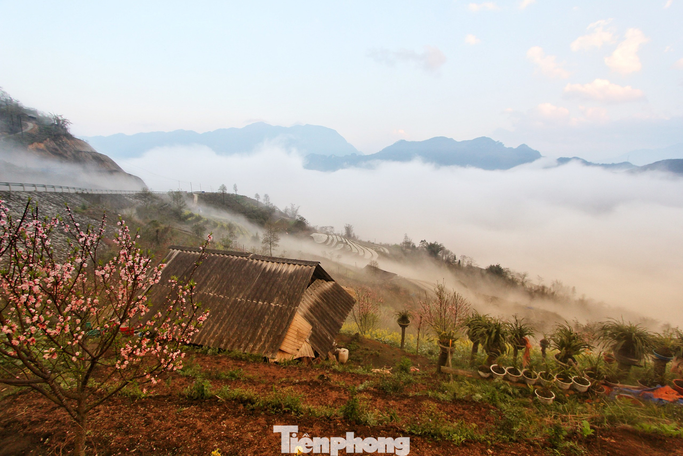 (Ảnh: Lộc Liên)