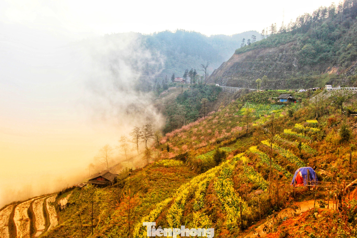 (Ảnh: Lộc Liên)