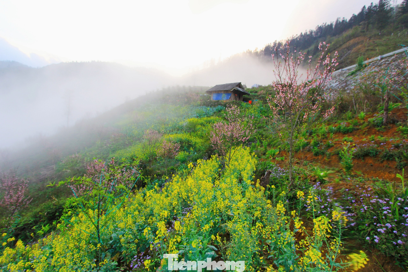 (Ảnh: Lộc Liên)