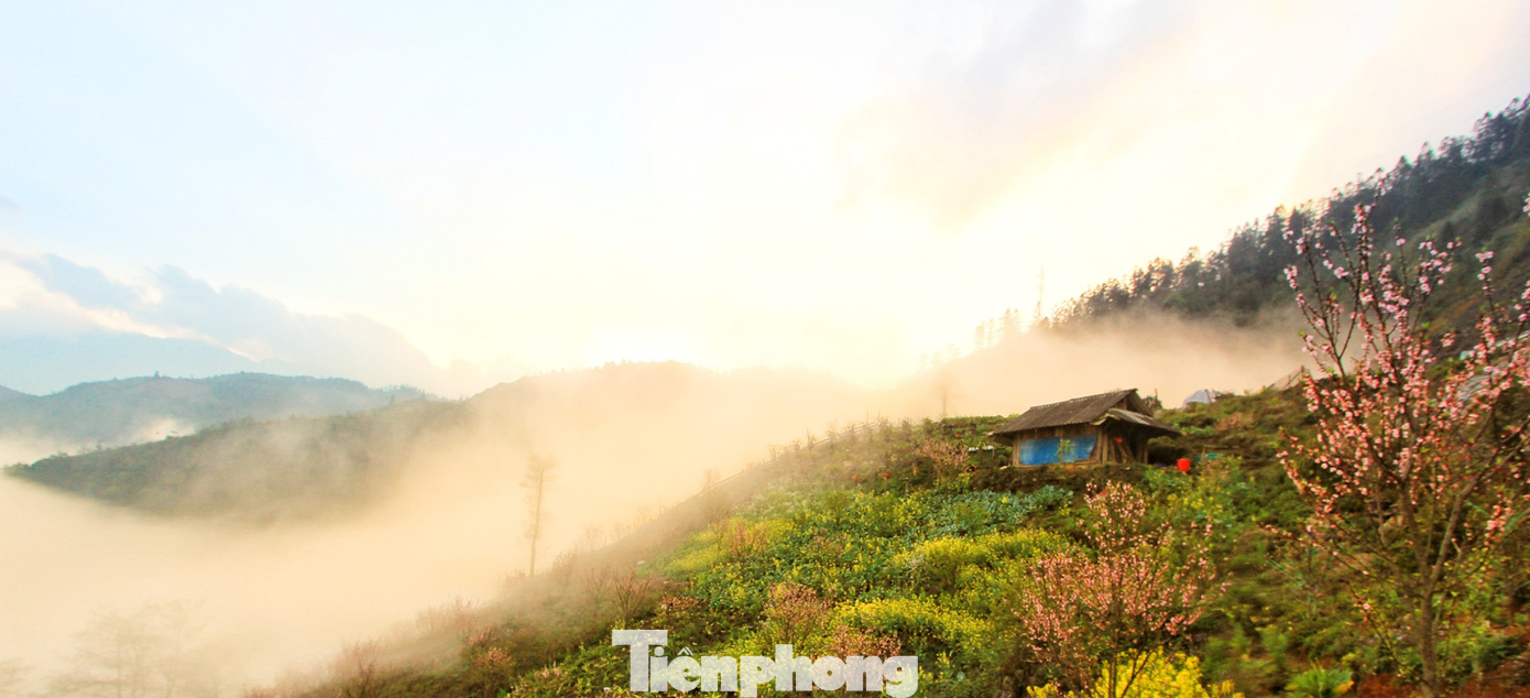 Tháng 3 về, đi theo cung đường Lào Cai – Lai Châu, du khách không khỏi ngỡ ngàng trước khung cảnh những ngôi nhà của đồng bào người Mông bên triền núi chìm trong làn sương sớm, giữa những vườn cải đang thì nở hoa. (Ảnh: Lộc Liên)