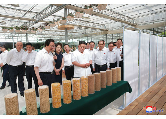 Phu nhân ông Kim Jong-un khoe gu thời trang thanh lịch ở Trung Quốc ảnh 5