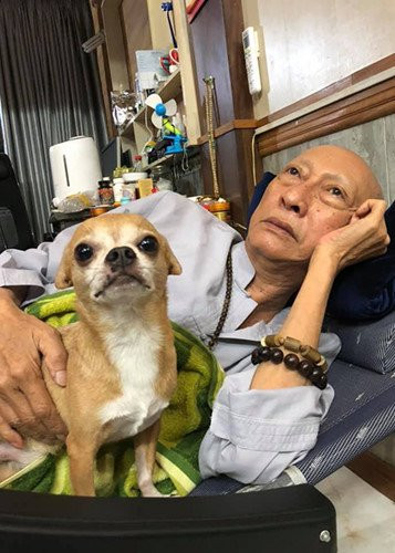 Showbiz 3/5: Chú chó đội tang trắng trong lễ tang nghệ sĩ Lê Bình gây xúc động ảnh 1