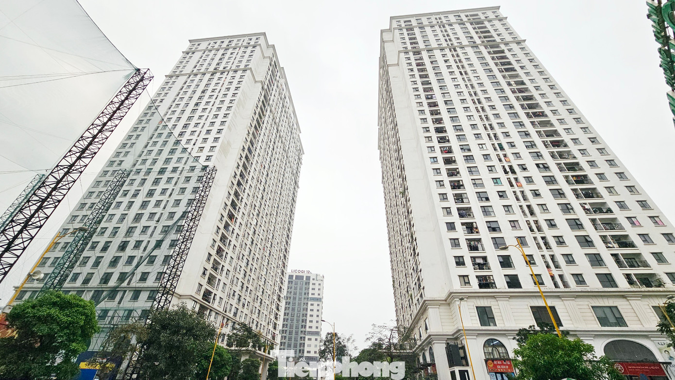 Dự án gồm 2 tòa nhà 32 tầng với 3 tầng hầm và 1 tòa nhà để xe cao 9 tầng. Tổng số căn hộ dự án là 1.200 căn hộ, dân số khoảng 8.000 người và đã bàn giao căn hộ cho người dân vào ở từ cuối năm 2018.