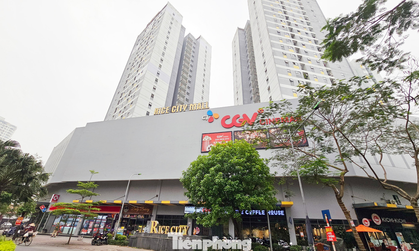 Các tòa nhà chung cư Bắc, Trung, Nam Rice City (khu đô thị Tây Nam Linh Đàm, Hoàng Liệt) vi phạm PCCC.