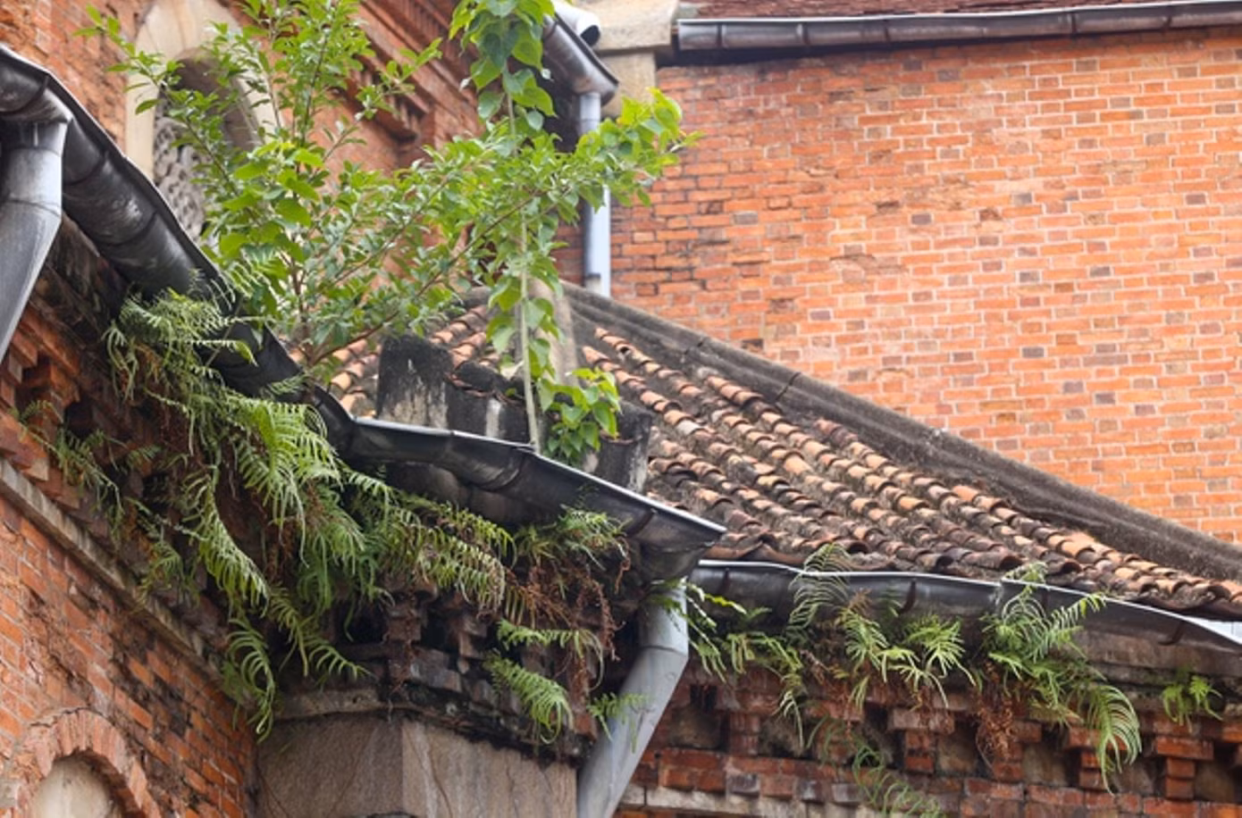 Cận cảnh sự xuống cấp của Nhà thờ Đức Bà Sài Gòn ảnh 7