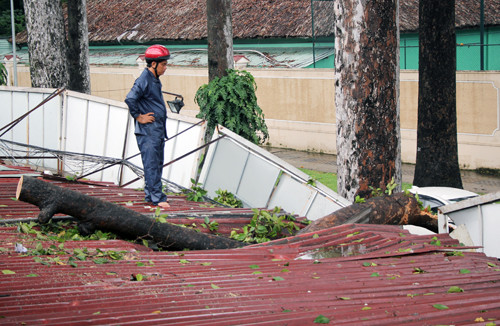Cành cổ thụ đè sập 2 cửa hàng ở trung tâm Sài Gòn ảnh 1