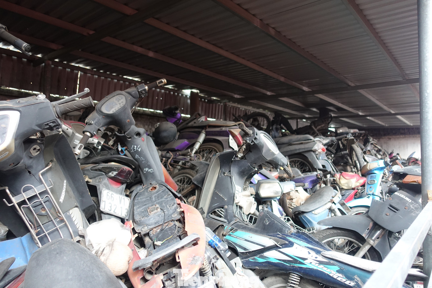 Khoảng 310 xe máy đã được làm thủ tục thanh lý và đang đợi cơ quan chức năng quận Bình Tân (TPHCM) tiếp nhận.