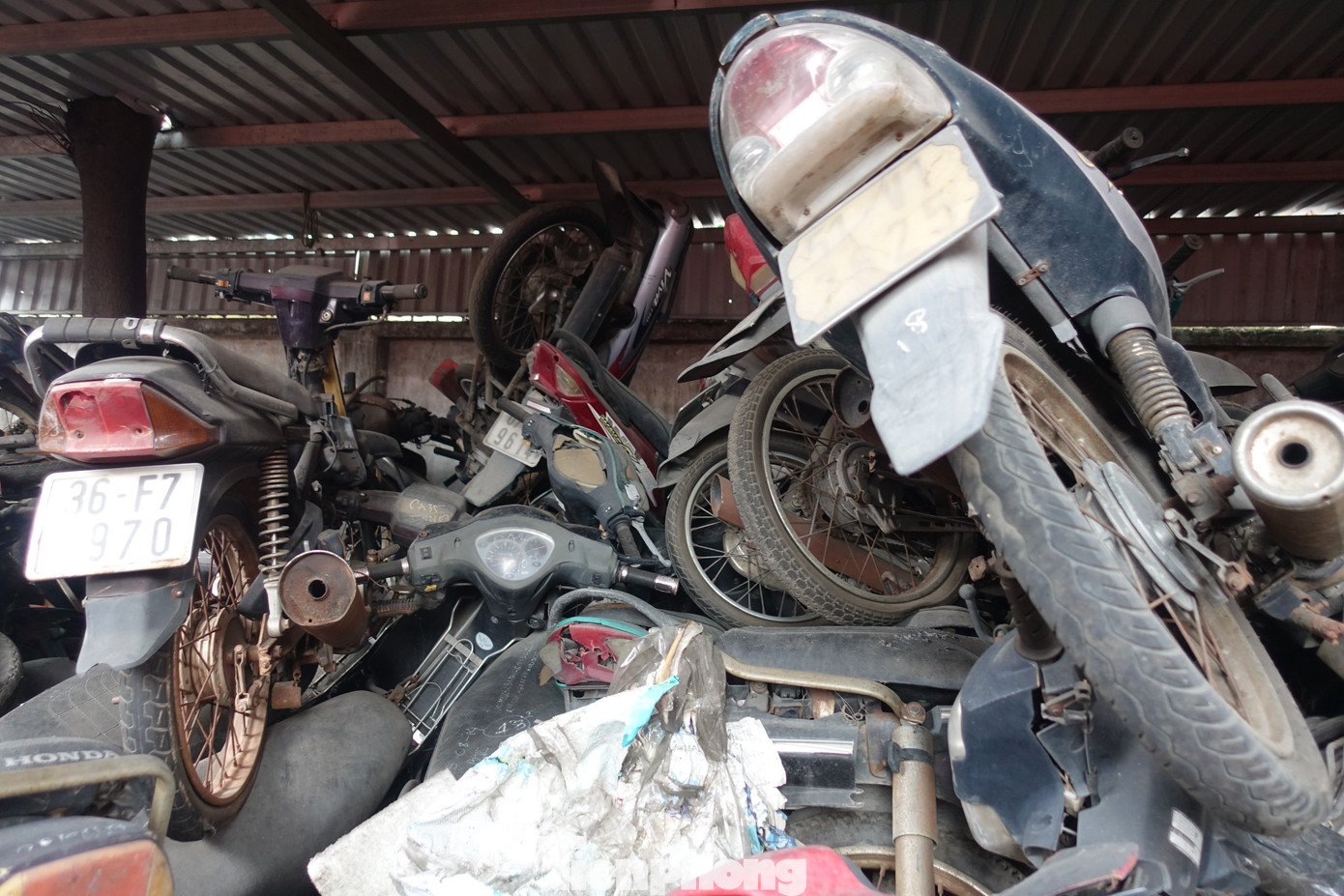 310 xe máy cũ nằm chất đống, chờ ngày bàn giao cho cơ quan chức năng quận Bình Tân.