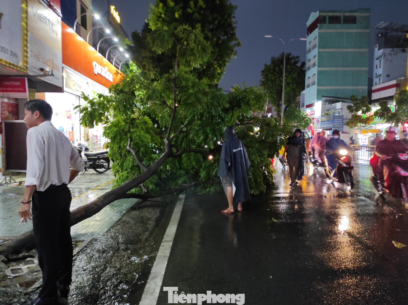 Trong cơn mưa dông, một cây xanh trên đường 3 tháng 2, quận 10 bị ngã đổ. Rất may sự cố không gây thiệt hại về người và tài sản.