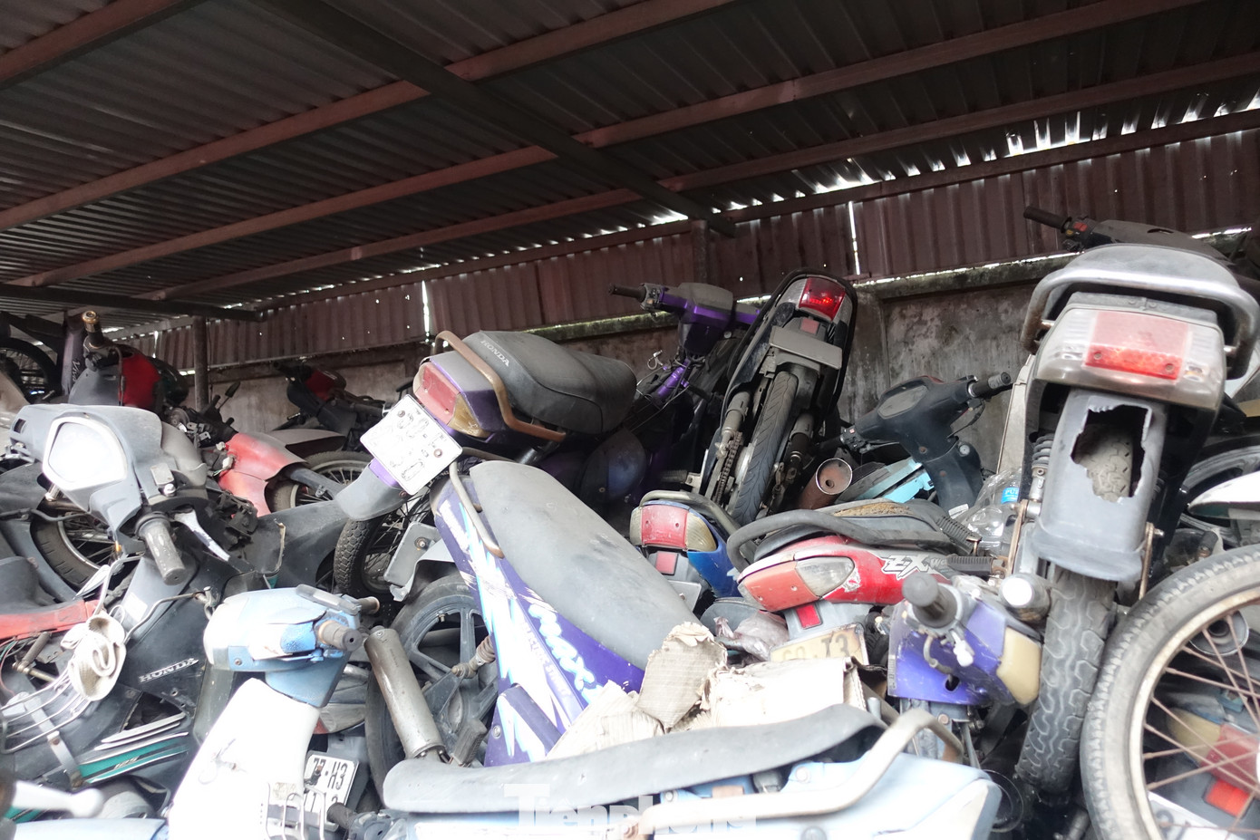 Có những xe bị bỏ lại từ khoảng cách đây gần 10 năm.