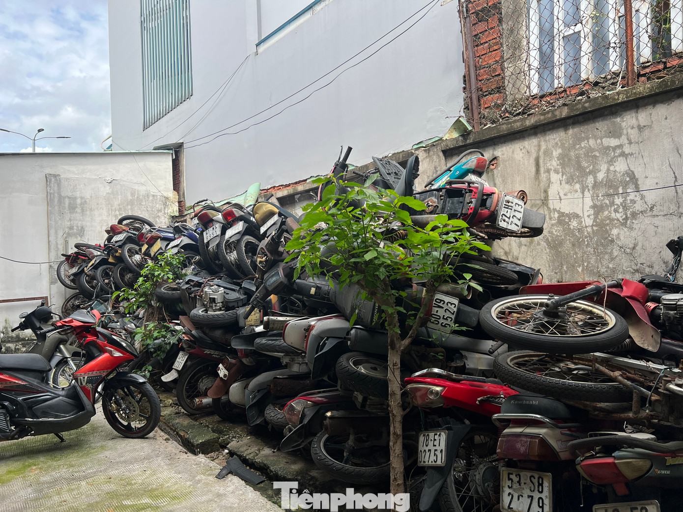 Tại bến xe Miền Đông (quận Bình Thạnh) cũng có hơn 300 xe máy vắng chủ.