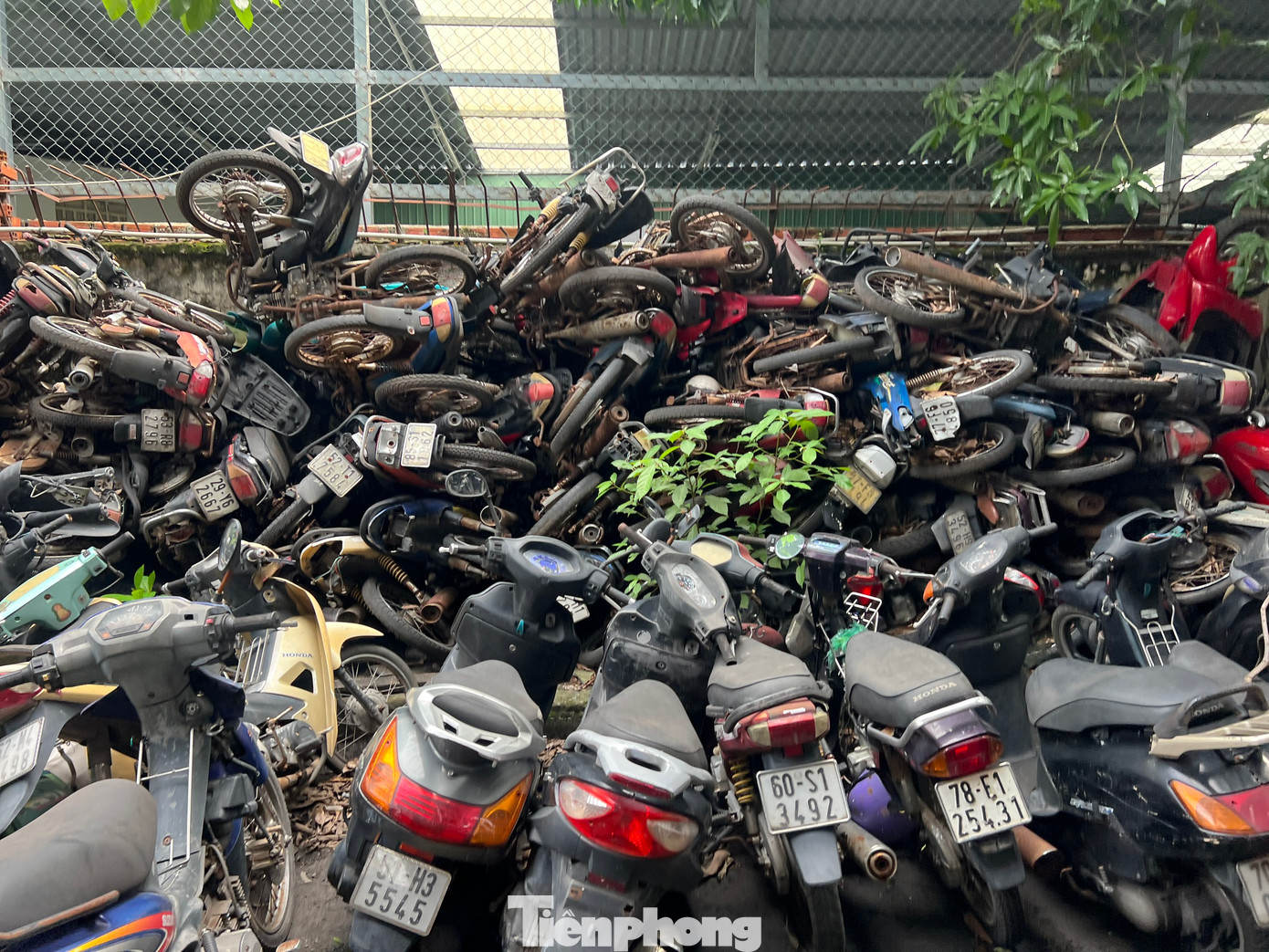 Do diện tích bãi xe có hạn nên nhân viên tại đây phải rút hết xăng để phòng cháy nổ rồi xếp chồng xe lên nhau.