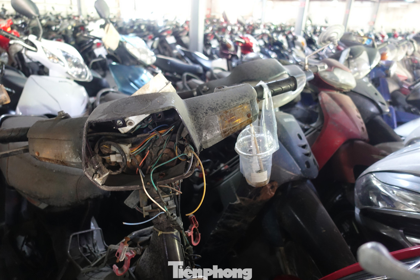 Theo đại diện bến xe Miền Tây (quận Bình Tân), đến nay đã có hơn 710 xe máy không có người nhận.