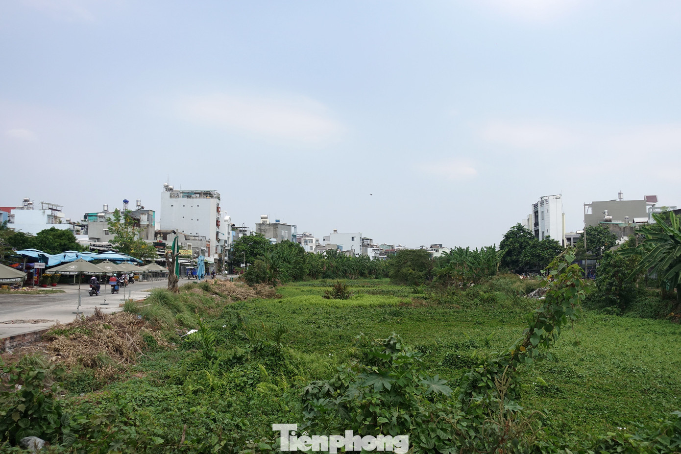 Đoạn kênh qua phường Bình Hưng Hòa (quận Bình Tân) nhiều chỗ đầy cây cối, lục bình, bồi lắng.