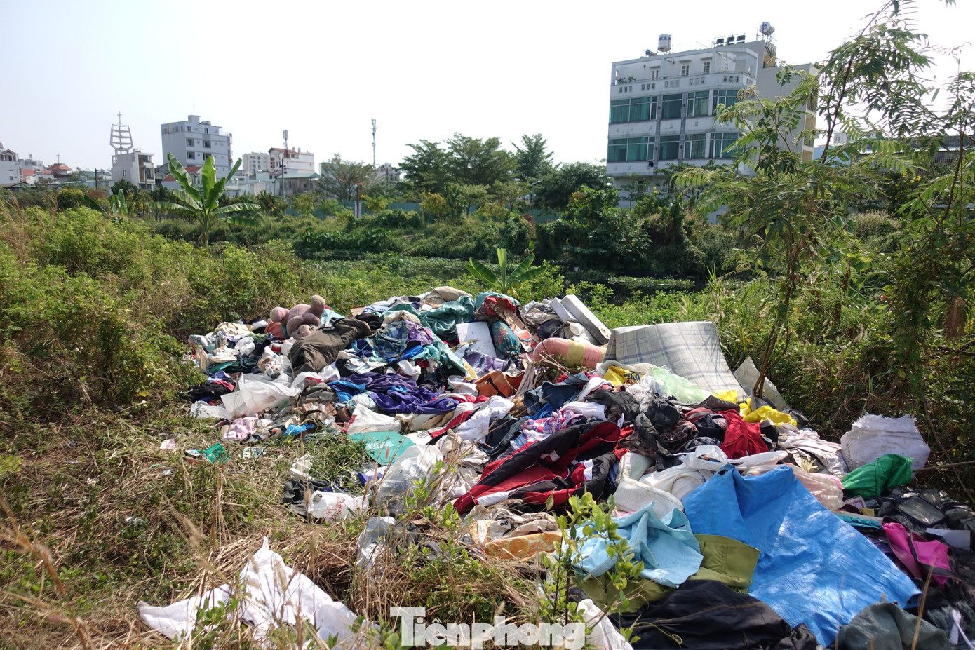 Hiện nay nhiều khu vực ở bờ kênh Tham Lương (đoạn qua địa bàn quận 12) đang trở thành bãi rác khổng lồ
