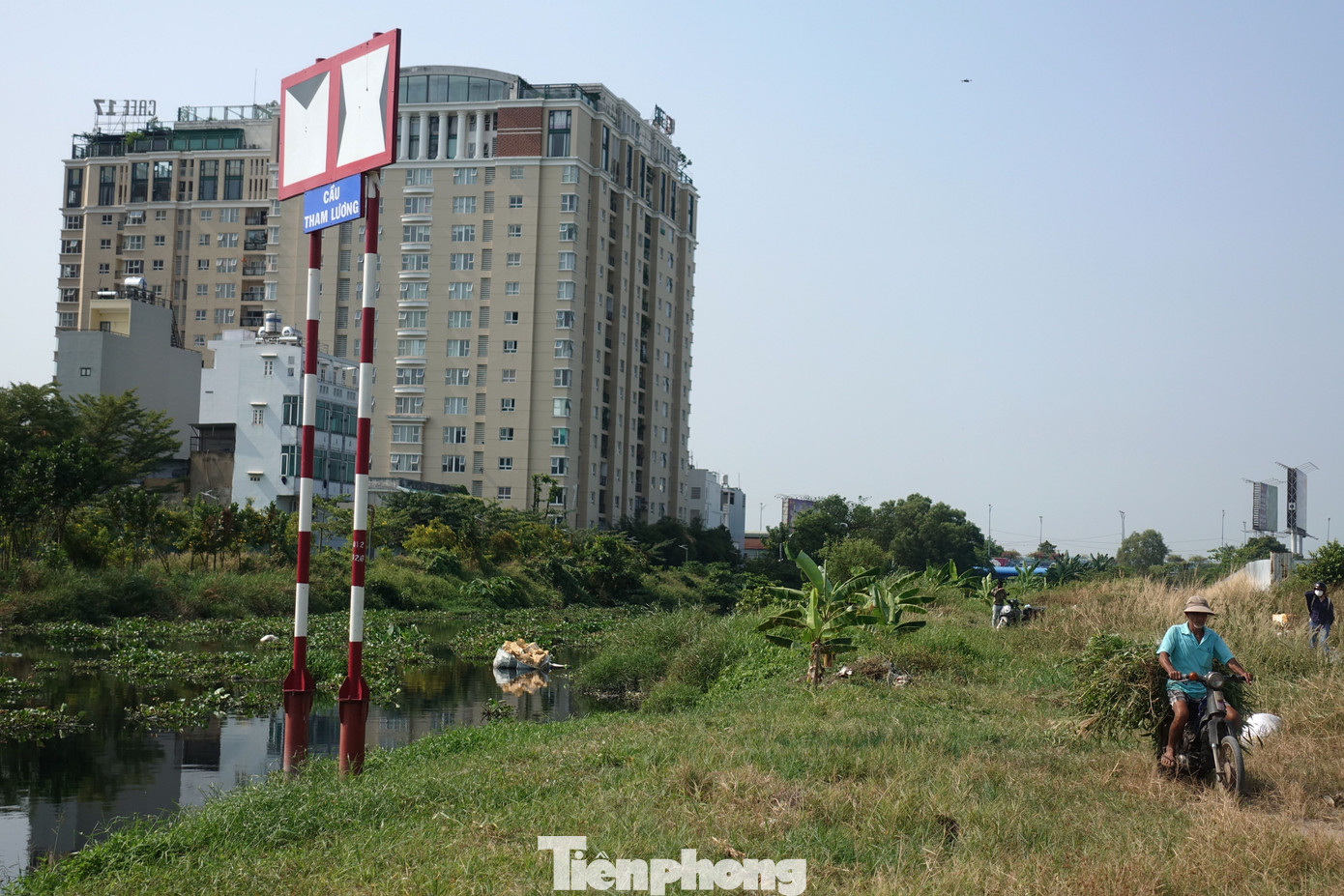 Con đường vào khu dân cư dọc kênh ở quận 12 (TPHCM) cỏ mọc um tùm.