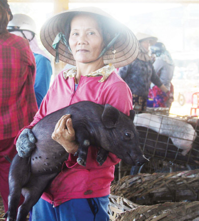 Chợ bế heo 'độc nhất' xứ Quảng ảnh 1