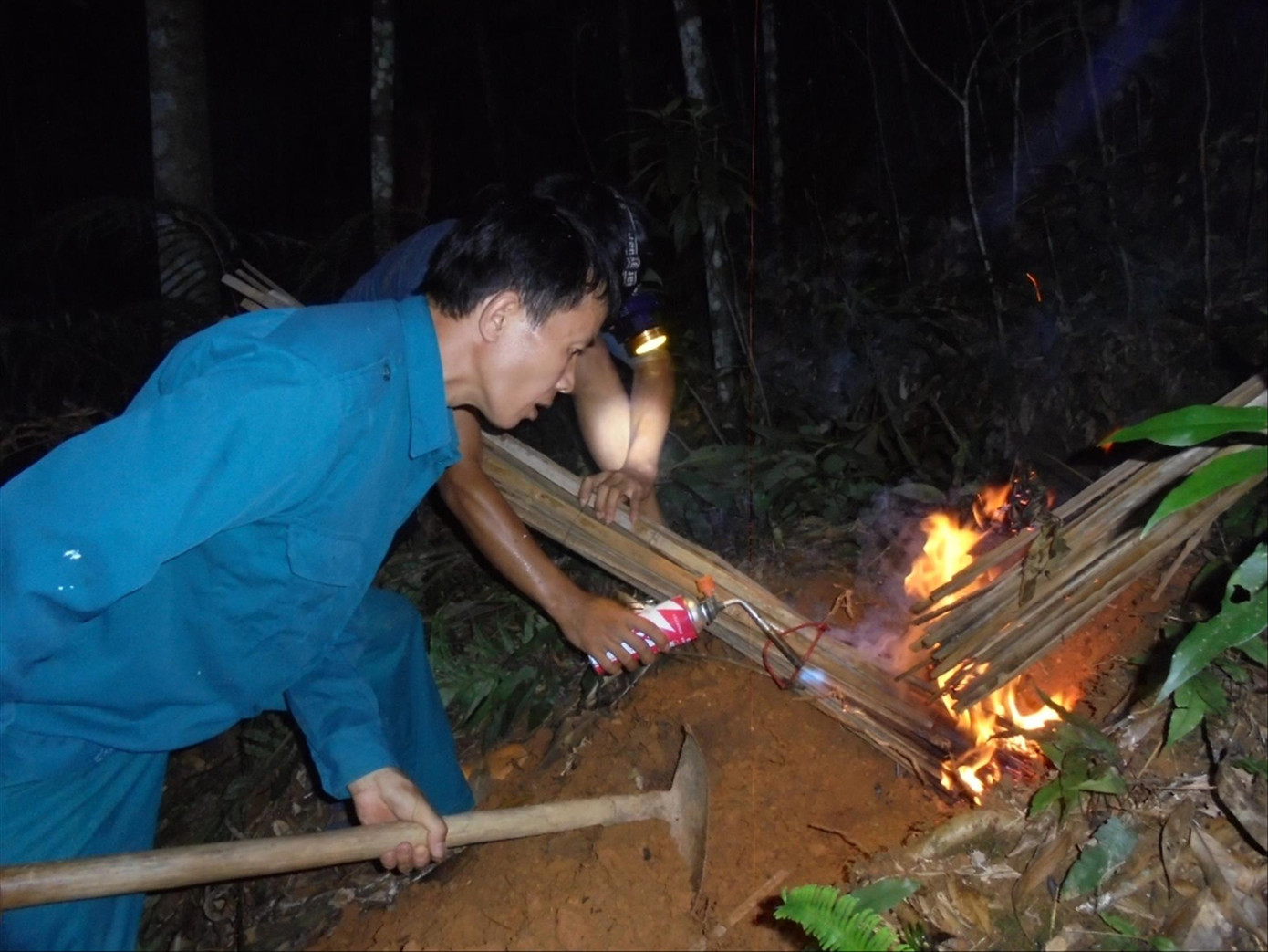 Săn loài ong kịch độc: Tìm kiếm và phục kích ảnh 1