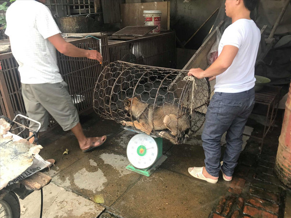 'Phố thịt chó' lụi tàn ảnh 1