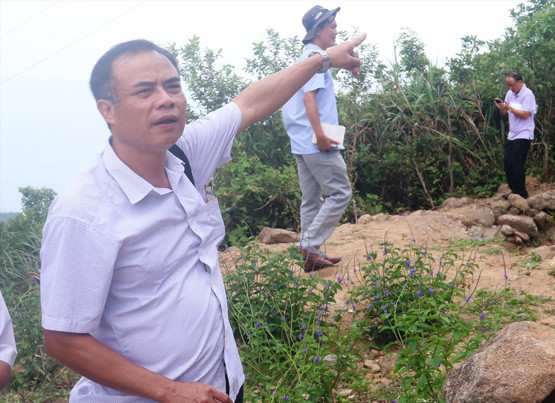 Mơ một lần thiên lý qua Hải Vân quan... ảnh 1