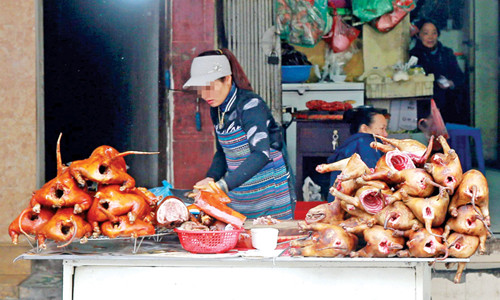 'Phố thịt chó' lụi tàn ảnh 2