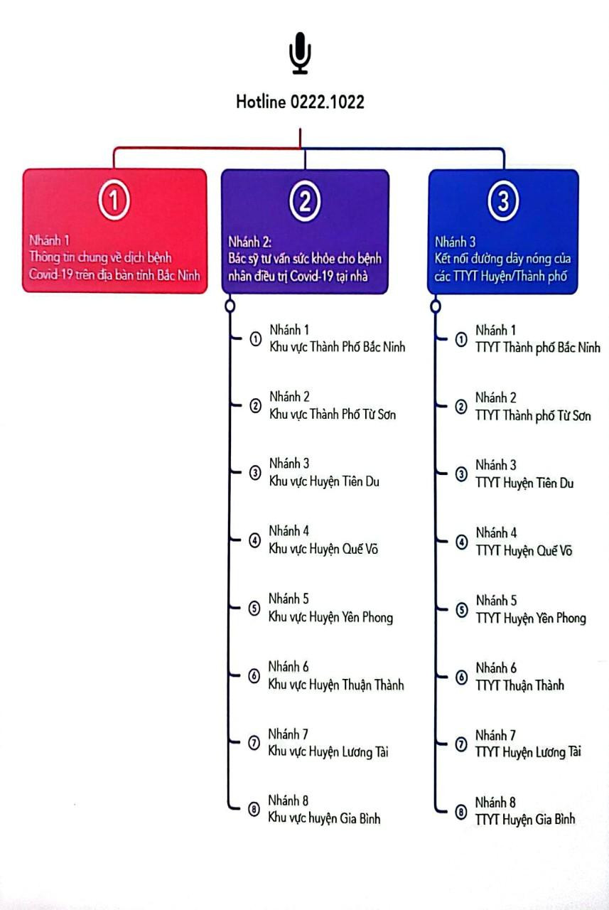 Các nhánh tổng đài tư vấn 0221022