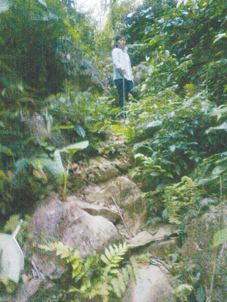 Đường vào hang khai thác vàng ở bản Kịt, xã Lũng Cao, huyện Bá Thước. Đường vào hang khai thác vàng ở bản Kịt, xã Lũng Cao, huyện Bá Thước