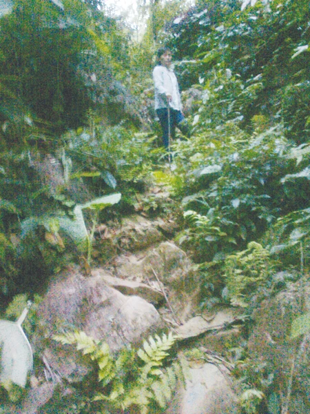 Đường vào hang khai thác vàng ở bản Kịt, xã Lũng Cao, huyện Bá Thước