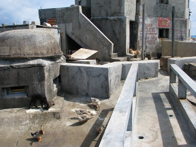 Kiếm ăn ở đâu cũng được hướng dẫn và giám sát