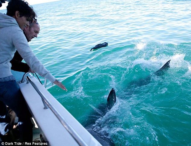 Vì vậy cô phải dành thời gian để "làm quen" với chúng. Vì vậy cô phải dành thời gian để