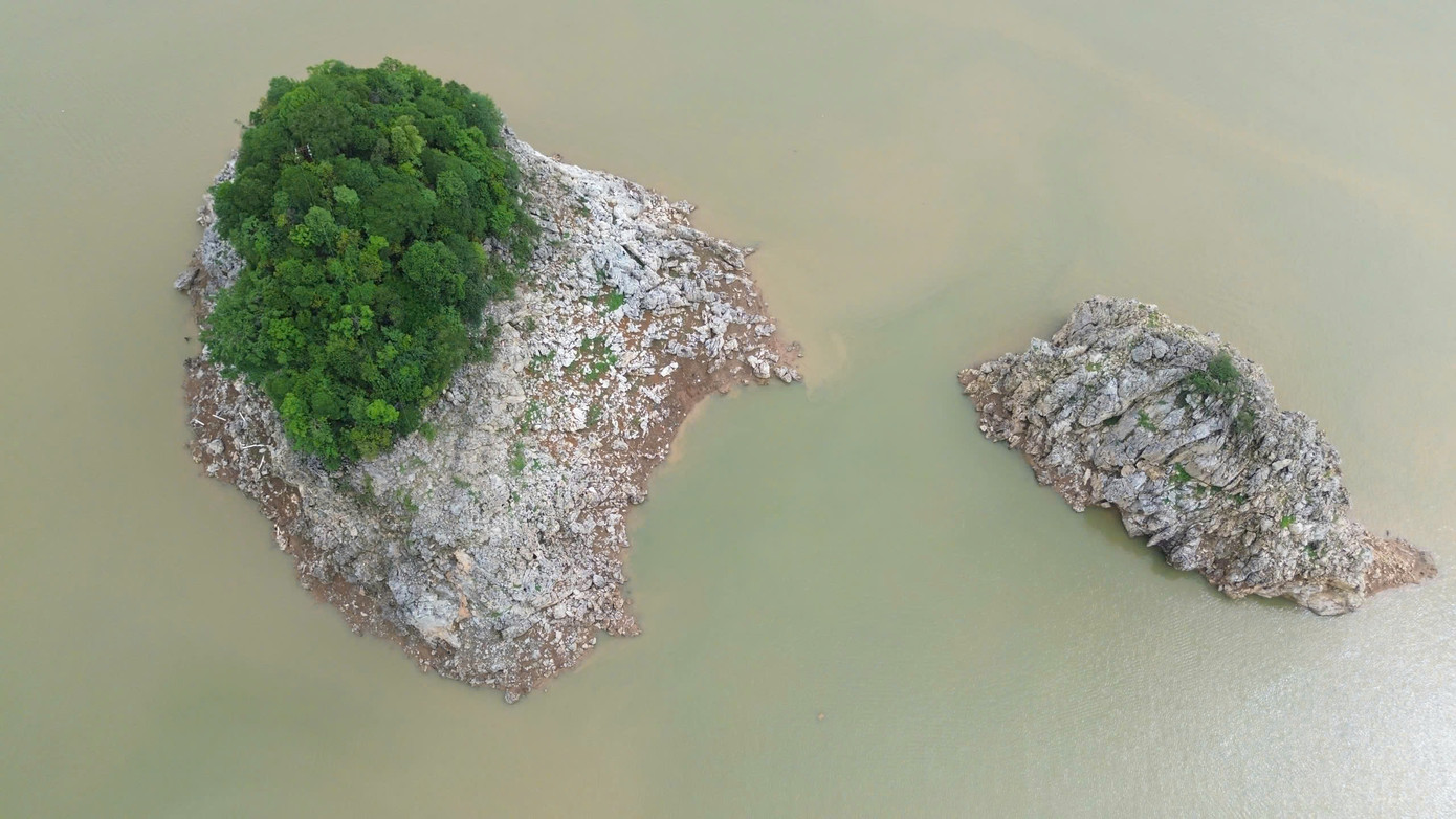 Nước hồ thủy điện Hòa Bình cạn cũng ảnh hưởng rất lớn đến người nuôi cá. Nước đục, dòng chảy yếu, thiếu ô xy dẫn đến cá chết hàng loạt. Mực nước hạ thấp buộc người dân phải di chuyển các lồng cá ra xa bờ, làm tăng nguy cơ trôi lồng, đứt dây.