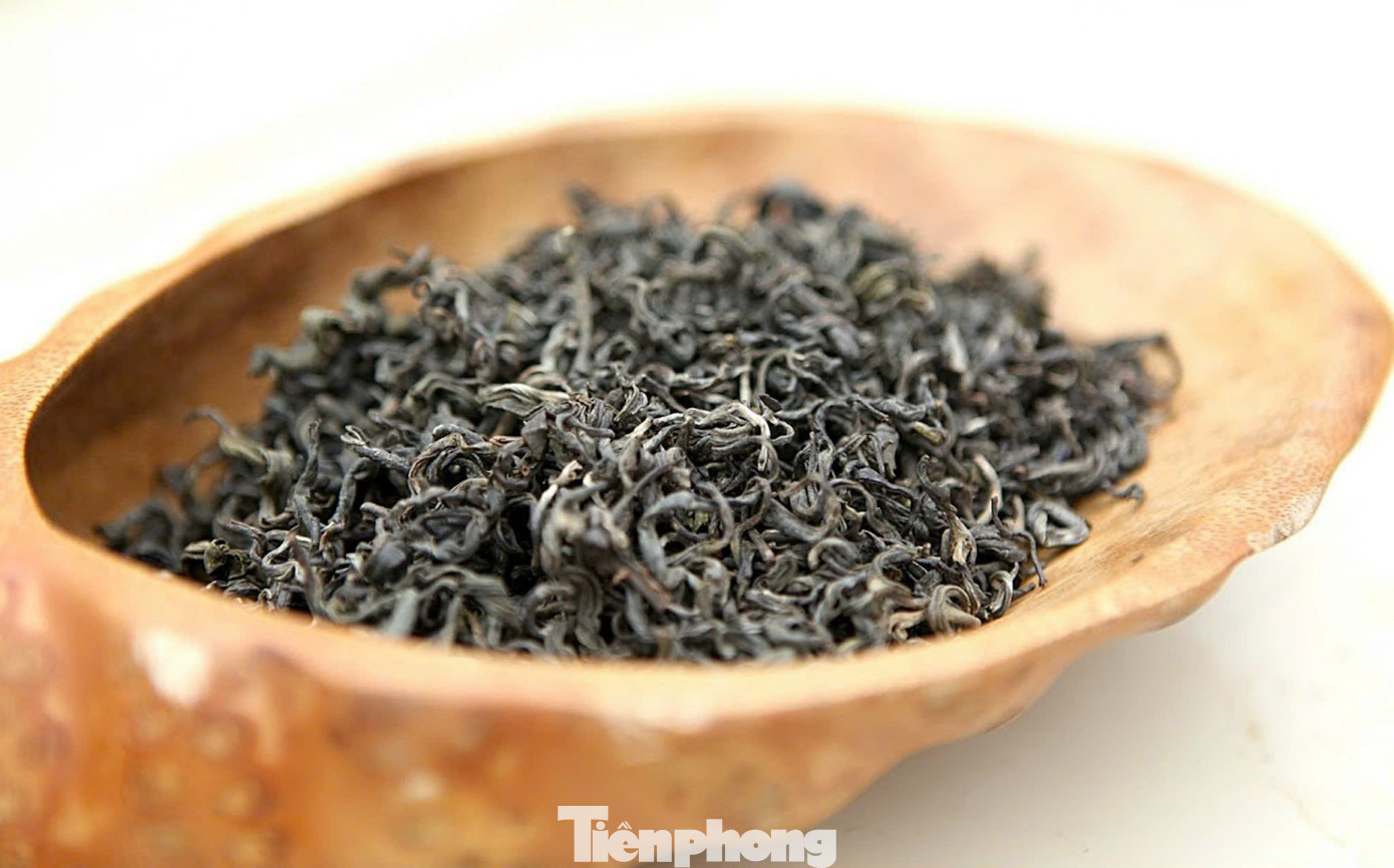 Từ chè cổ thụ người dân chế biến nhiều loại trà quý, có giá trị kinh tế cao. Từ chè cổ thụ người dân chế biến nhiều loại trà quý, có giá trị kinh tế cao.