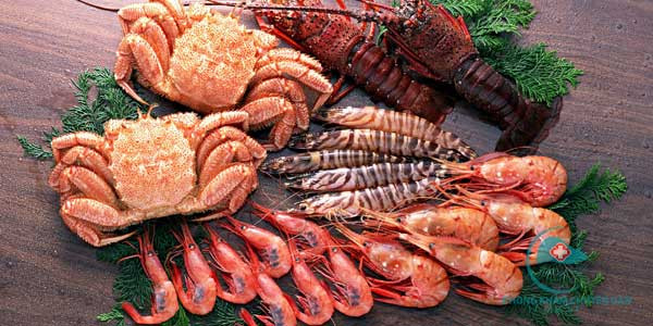 Những thực phẩm cực độc khi bị ho ảnh 1