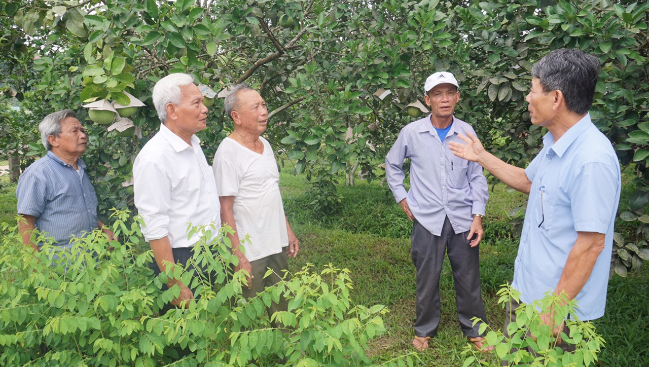 Người cao tuổi ở Hà Tĩnh trao đổi kinh nghiệm phát triển kinh tế.