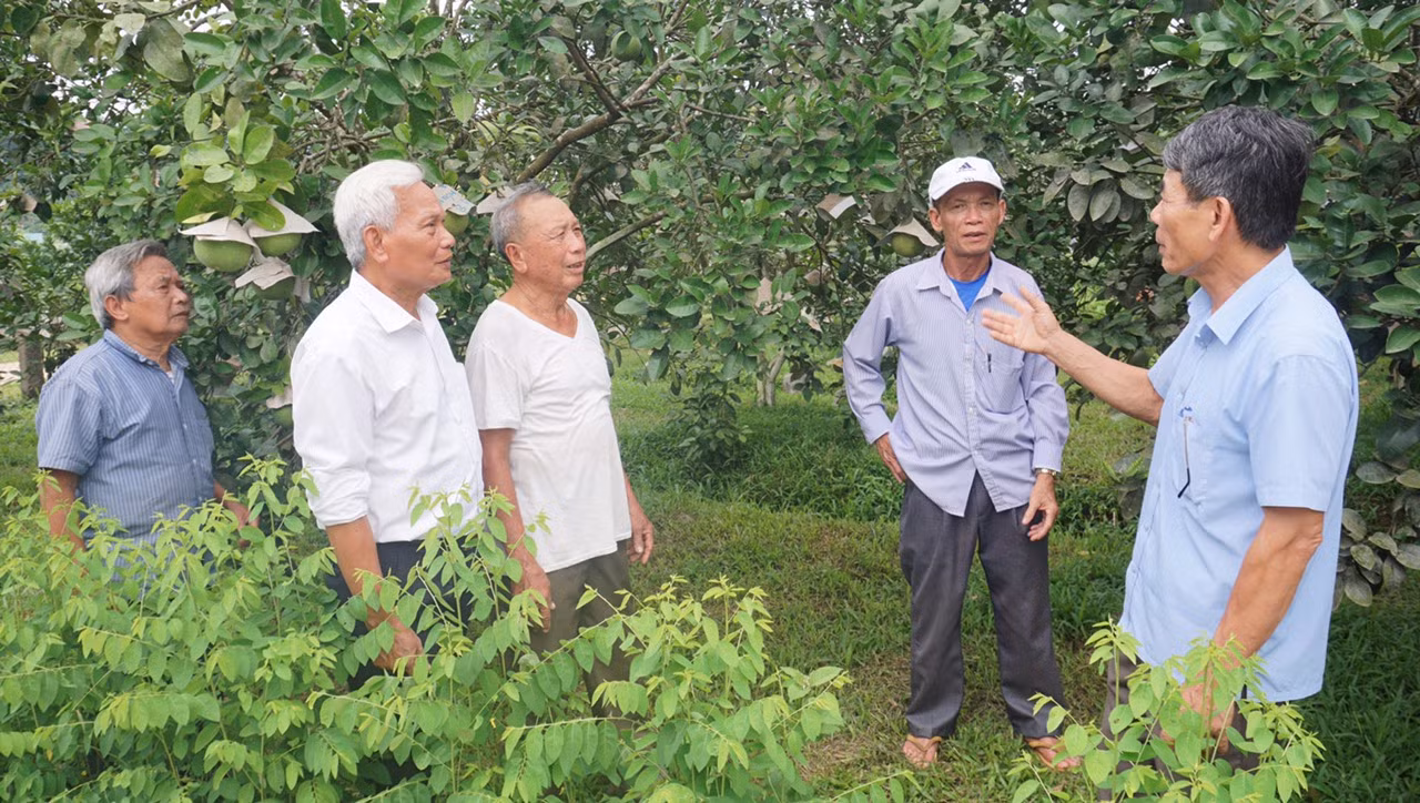 Người cao tuổi ở Hà Tĩnh trao đổi kinh nghiệm phát triển kinh tế.