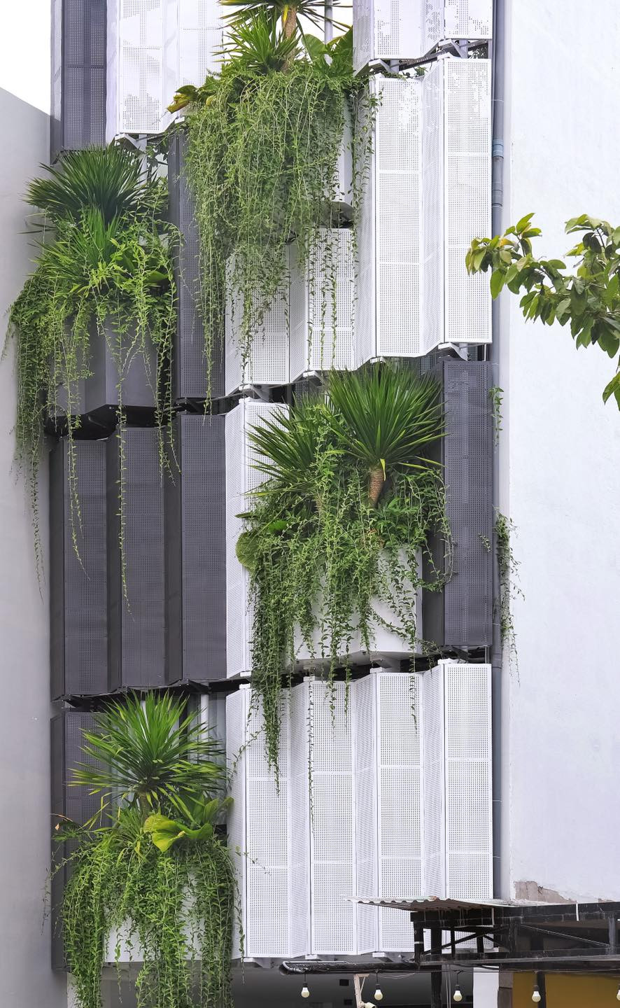 Thiết kế của căn nhà nổi bật giữa khu phố.