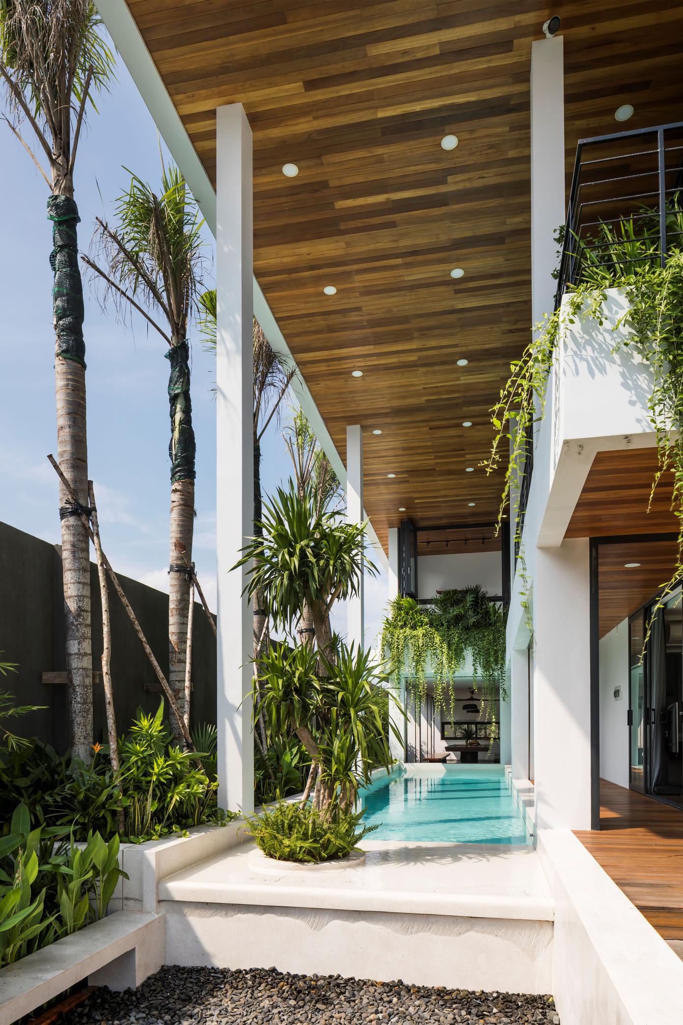 Bể bơi được đặt dọc theo chiều dài ngôi nhà, liên kết các không gian sinh hoạt theo chiều ngang và chiều đứng.