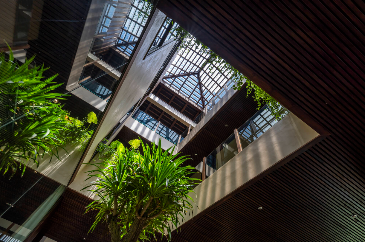 Cây xanh không chỉ được trồng ở khu vườn tầng 1, mà còn được bố trí ở hành lang các tầng trên.