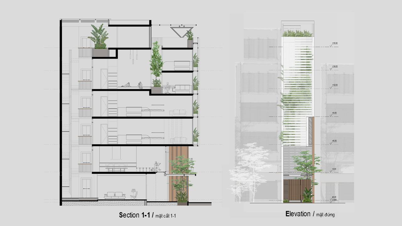 Mặt cắt và mặt đứng ngôi nhà. Mặt cắt và mặt đứng ngôi nhà.