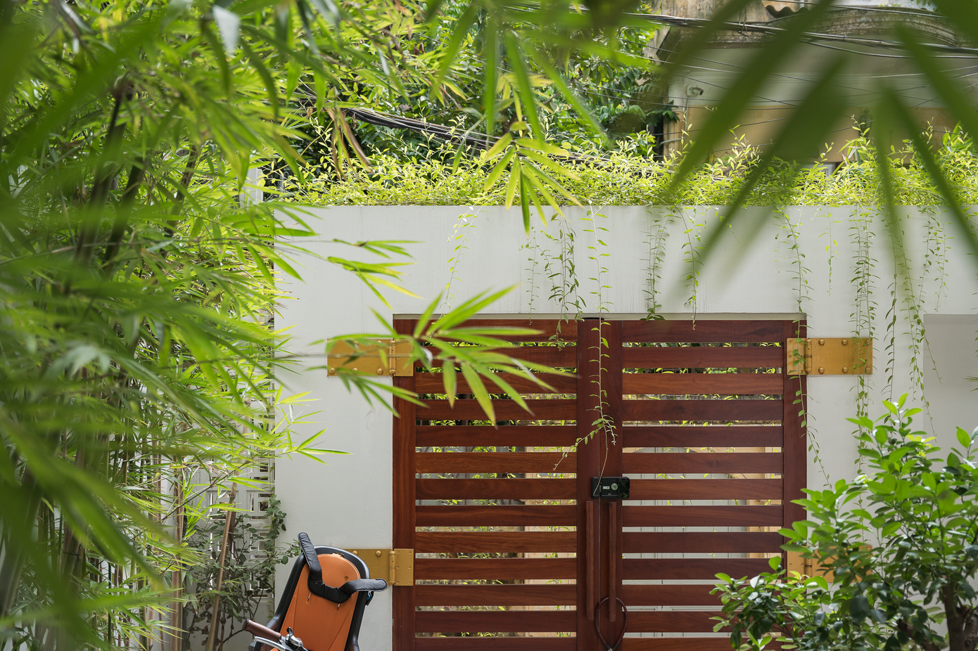 Quanh khu vườn bố trí các bồn trồng trúc. Quanh khu vườn bố trí các bồn trồng trúc.