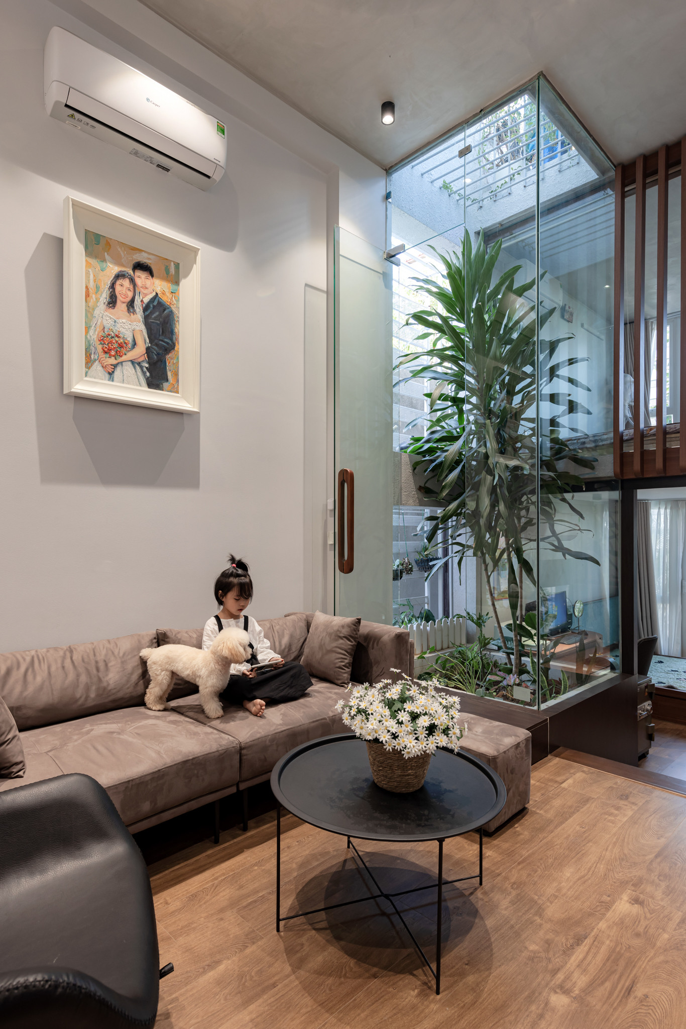 Cửa kính vừa giúp cây xanh phát triển tốt hơn, vừa chắn gió bụi. Cửa kính vừa giúp cây xanh phát triển tốt hơn, vừa chắn gió bụi.