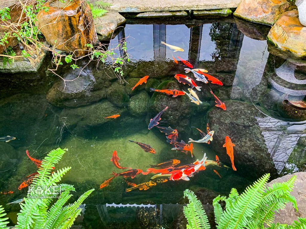 Ảnh: kokei.com.vn Ảnh: kokei.com.vn