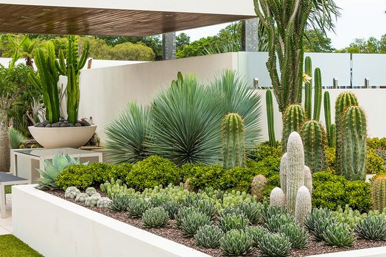 Ảnh: Pinterest Ảnh: Pinterest