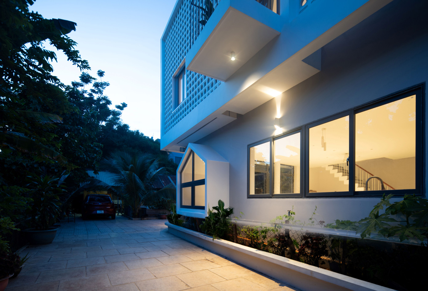 Nhiều loại cây khác nhau được trồng trong sân nhà.