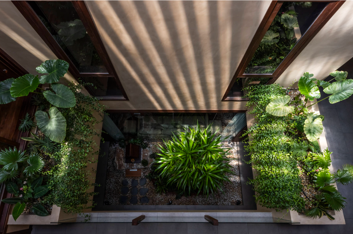 Từ trên nhìn xuống có thể thấy rõ hệ thực vật dưới khu vực giếng trời.