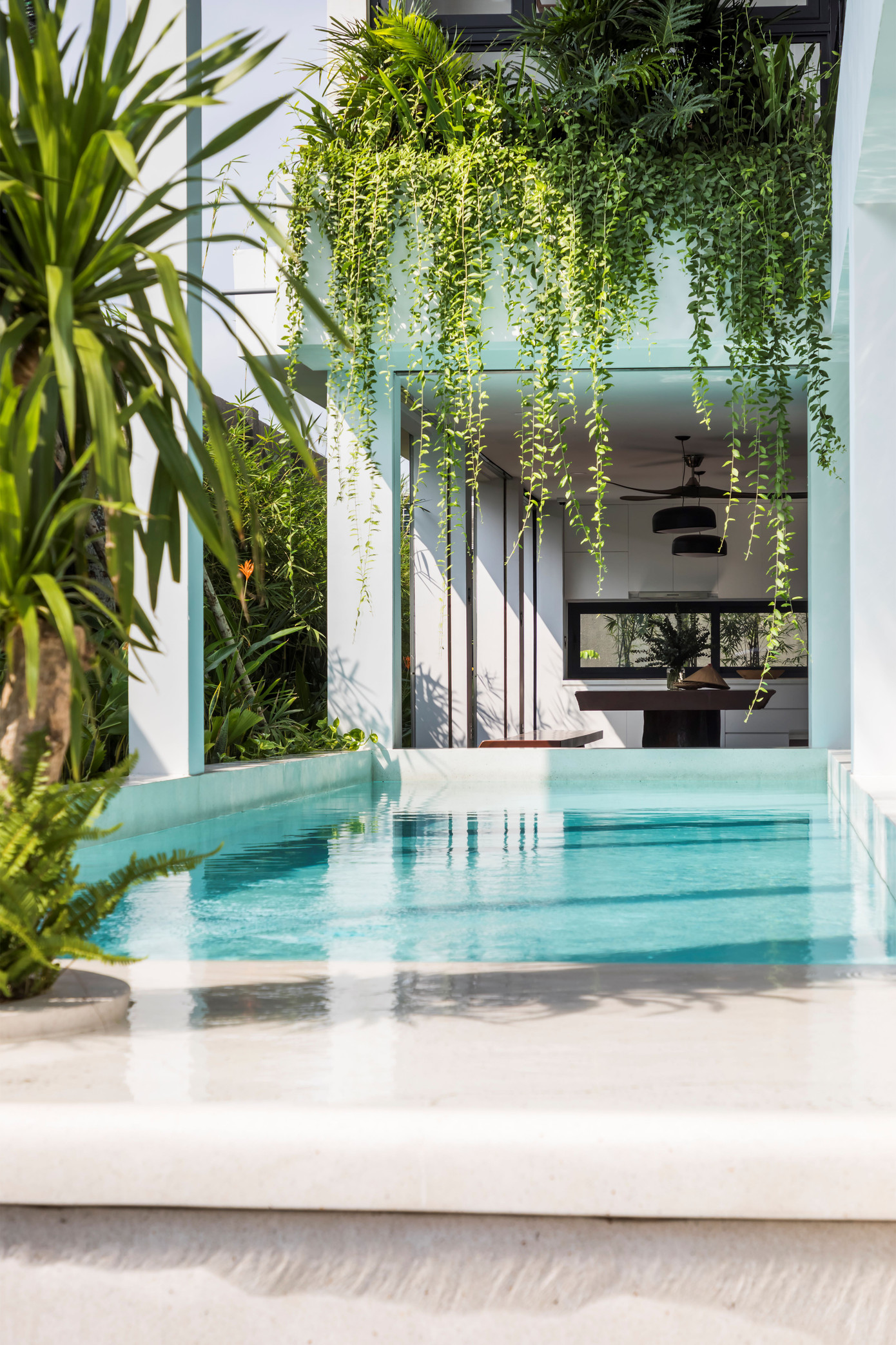 Bể bơi có kích thước 4x16 m, có nhiều cây xanh cao.