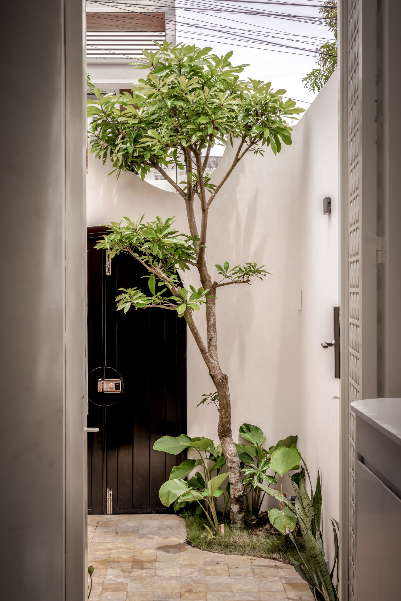 Cây xanh là vật không thể thiếu trong ngôi nhà, kết nối các không gian khác nhau.