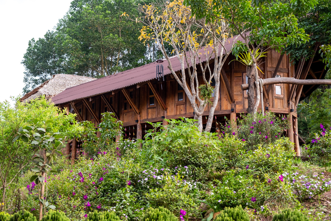 Căn nhà nằm trên một địa hình đồi núi dốc, đằng sau là rừng keo, kết hợp với cây cỏ địa phương tạo nên một cảnh quan cân bằng và hòa hợp giữa con người và thiên nhiên.